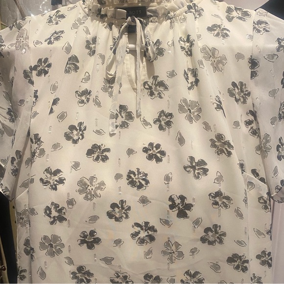 Talbots Sheer Blouse Size 4-6 🛍Lined…Worn Once.. - Picture 2 of 8